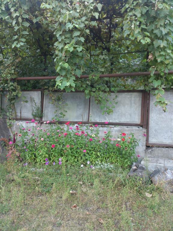 Holiday Home Borjomi-Likani Pokoj fotografie